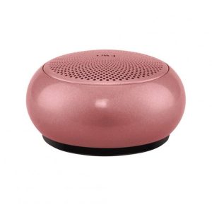 EWA A110 Bluetooth Speaker – Rose  |   Stereo Speakers Earphones & Speakers Rose